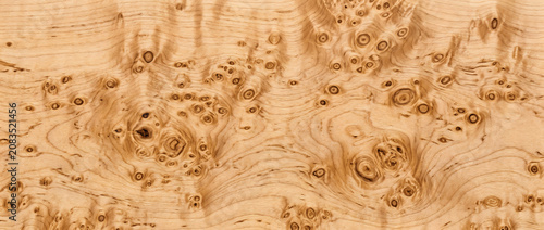 Burl wood texture with natural exotic grain seamless hardwood background