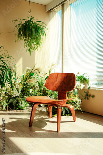 Quadro su tela Cozy mid century modern wooden chair in a sunlit room filled with green plants