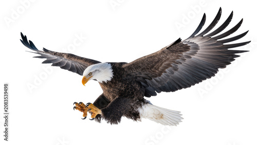 Foto Bald eagle with wings spread talons extended, flying