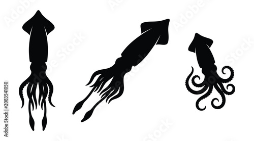 Tableau sur toile Three Squid Silhouettes In Black And White Marine Life Illustration Silhouette
