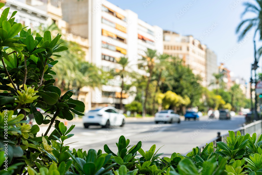 Naklejka premium Lush foreground foliage frames a sundrenched Valencia boulevard lined with palm trees and midcentury apartment buildings. Perfect for sustainable city living, travel, or Mediterranean. 