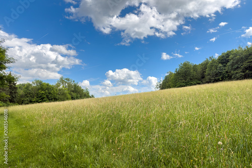 Green Meadow Under Blue Sky