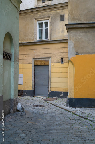 Quiet Cobblestone Alleyway