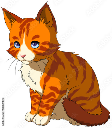 cute kitten, orange cat