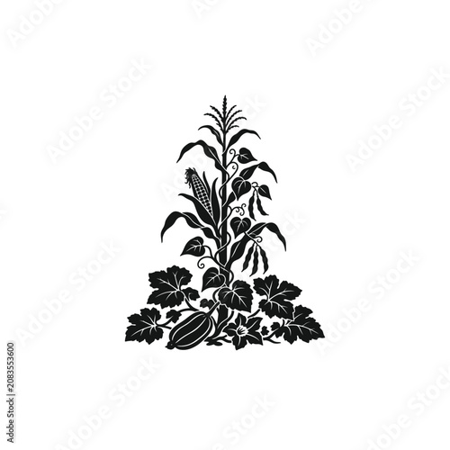 Cuadro en lienzo Corn Beans Squash Companion Guild