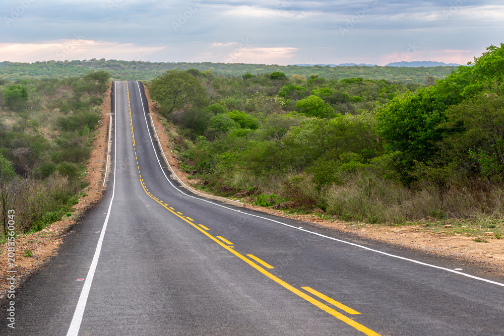 Obraz premium Scenic Paved Road Crossing the Semiarid Caatinga Landscape in the Sertao of Paraiba, Northeast Brazil