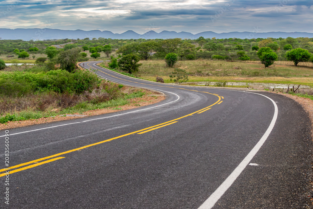 Fototapeta premium Scenic Paved Road Crossing the Semiarid Caatinga Landscape in the Sertao of Paraiba, Northeast Brazil