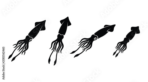 Bild auf Leinwand Four Squid Silhouettes In Black And White Minimalist Illustration Silhouette