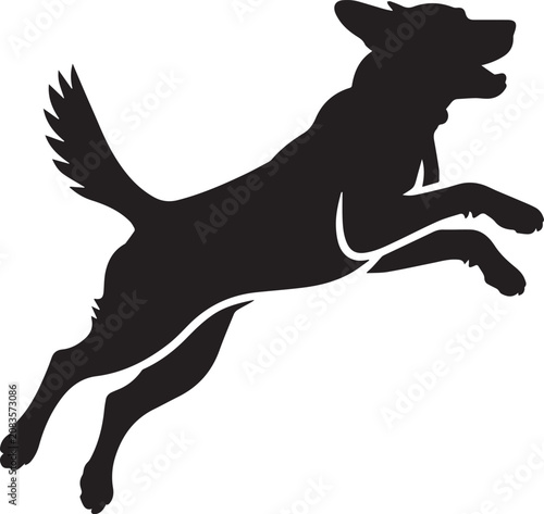 silhouette of a dog