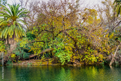 Autumn in Palermo Park, Buenos Aires, Argentina