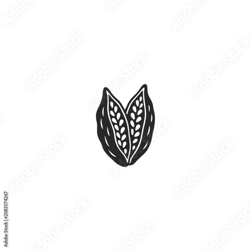 Growing Milkweed Seed Pods Silhouette