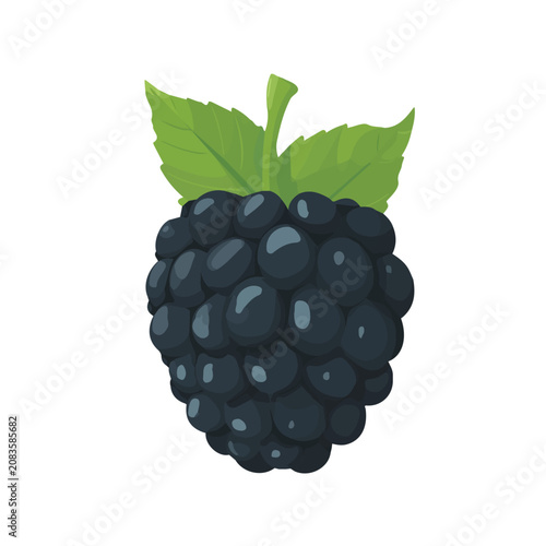 Slika na platnu Minimalist 2D vector icon representation of a Blackberry, displayed on a pure wh
