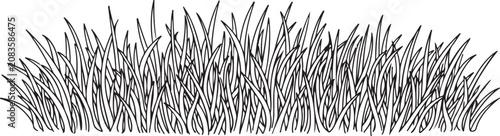 A detailed, monochrome hand-drawn style illustration of a grass clump, isolated on a clean white background.