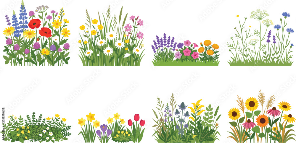 Fototapeta premium Colorful Wildflower Garden Collection with Seasonal Blooms and Green Foliage for Nature Design