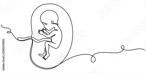 Bild auf Leinwand fetus continuous one line drawing, minimalist design isolared, outline illustration on white background