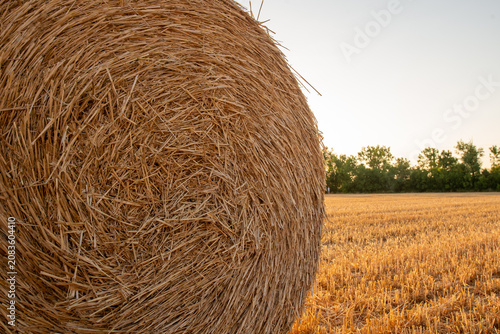 Harvested straw bales in the field of Bekes Hungary during sunset