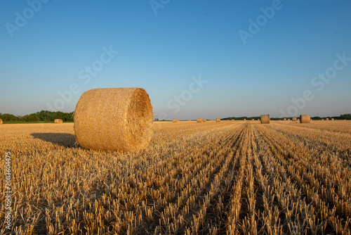 Harvested straw bales in the field of Bekes Hungary during sunset