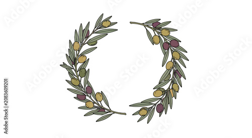 Hand Drawn Olive Branch Wreath Illustration