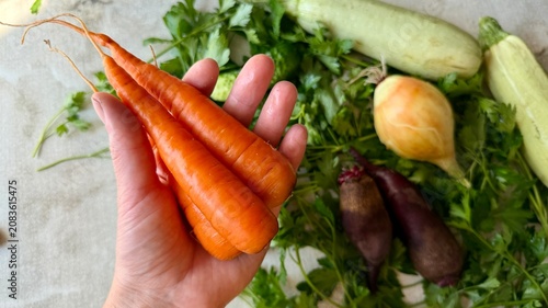 Hand holding fresh organic carrots over reusable shopping bag with farm vegetables