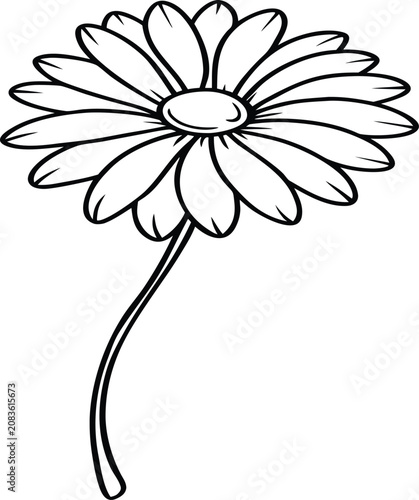 daisy flower line art botanical vector illustration design
