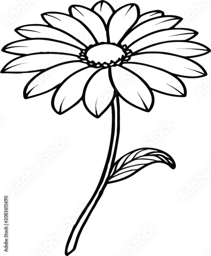 daisy flower botanical outline vector illustration design