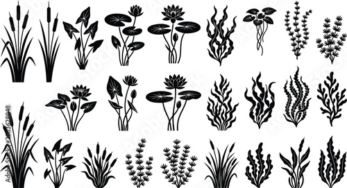 Set of black silhouette aquatic plants and water flowers