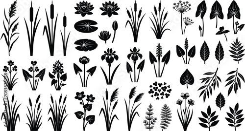 Set of black silhouette swamp plants and water flowers
