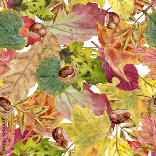 A seamless pattern of red, purple, orange, yellow, and green autumn leaves and chestnuts, hand-drawn in watercolor on an isolated background. Simple, vibrant autumn botanical clip art for decoration