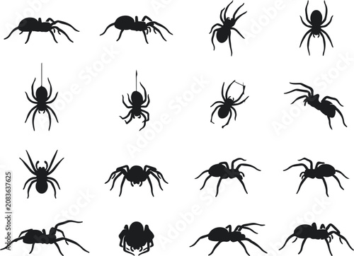 Foto Spider silhouettes collection diverse arachnid vector illustrations for hallowee