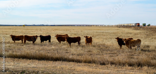 The landscape consists of a dry, vast grassland or prairie intended for livestock grazing