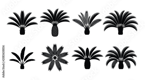Foto Tropical Pineapple Palm Plant Silhouette Set, Black Botanical Icons Isolated on