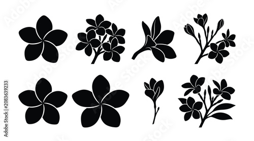 Plumeria Frangipani Flower Silhouette Set, Tropical Botanical Vector Icons Isolated on White Background