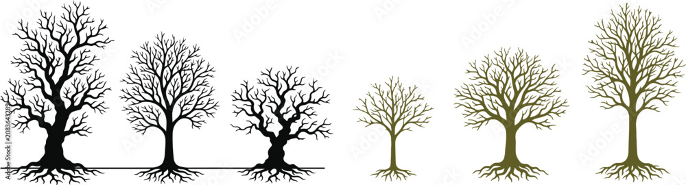 Fototapeta premium Tree life cycle illustration bare branches to full foliage vector graphic series on white background.