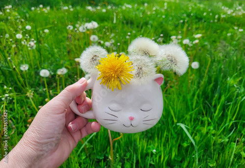 A hand holding a white cat-head-shaped cup with fluffy yellow dandelions