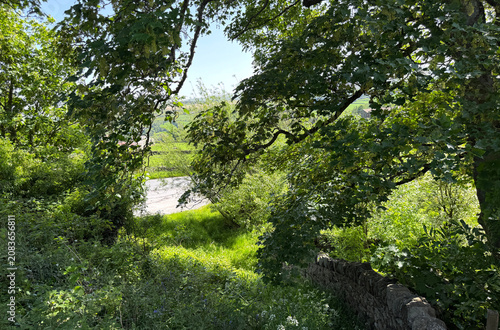 A sunlit path winds through lush greenery toward the roadside, where dappled light dances through the leaves, casting a peaceful charm over Harehills Lane in Oakworth, UK.