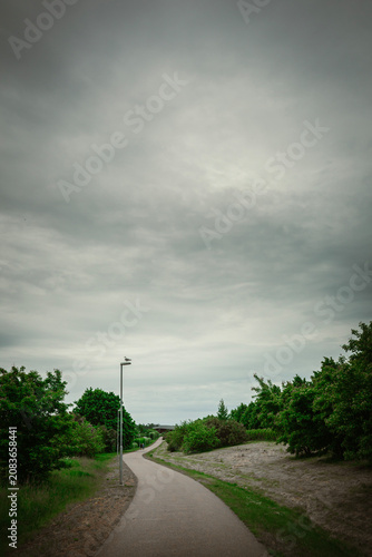 Photography Beautiful scenic view of Sweden landscape with traditional red houses