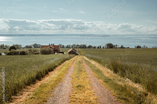 Photography Beautiful scenic view of Sweden landscape with traditional red houses