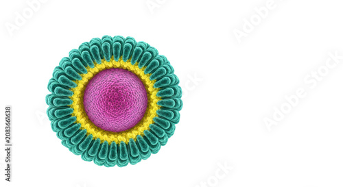 detailed nanocarrier liposome cross-section with magenta payload, teal tails, and yellow heads floating in an aqueous medium with bokeh concept of advanced nanotechnology and targeted drug delivery