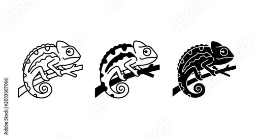 Chameleon Icons Set, Reptile Vector Graphics, Nature Wildlife Art, Simple Outline and Silhouette Styles