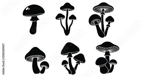 Photos Mushroom Silhouettes A Collection Of Black Fungal Shapes On White Background