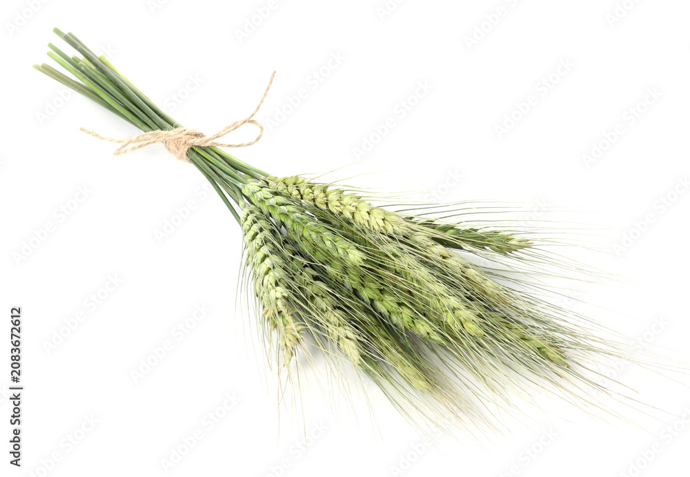 Fototapeta premium Bunch of green wheat spikes isolated on white