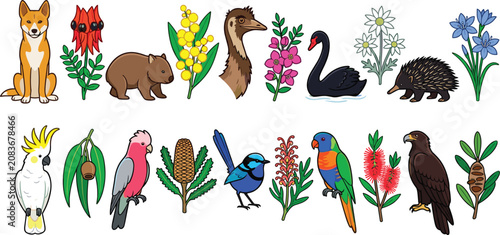 Photos Australian Wildlife and Native Flora Vector Icon Set Featuring Dingo, Wombat, Em