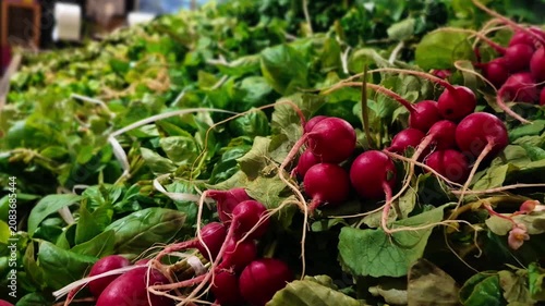 Fresh Red Radishes Display in Grocery Produce Section
