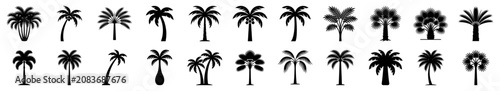 Tropical palm tree solid glyph icon set. Vector illustration.