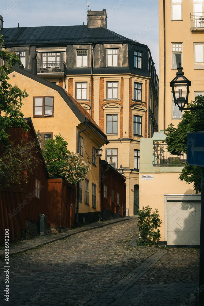 Naklejka premium The back alley