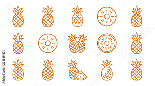 Collection of orange line icons for various pineapple styles.