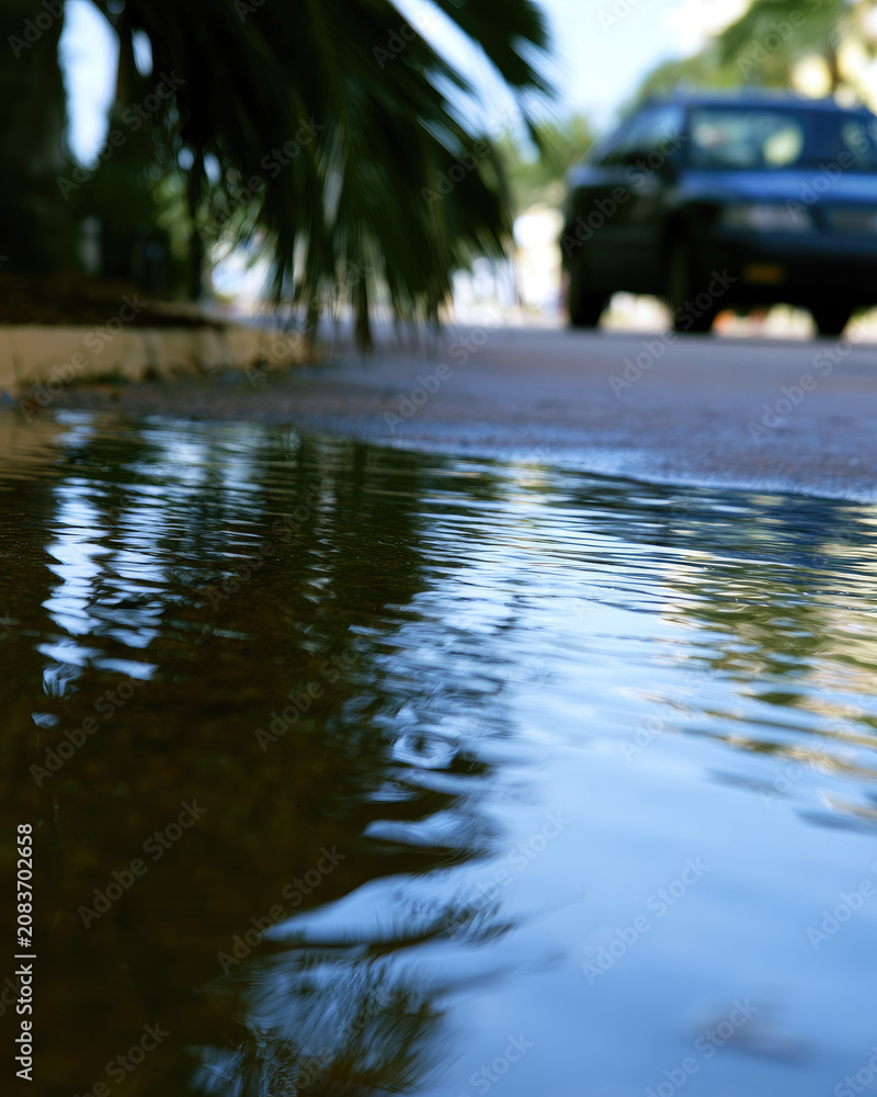 Fototapeta premium Flooded street shallow water road reflection palm leaf car silhouette tropical street wet pavement water mirror bright sky negative space