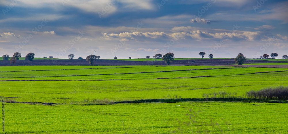 Naklejka premium Vibrant green agricultural fields under a dramatic blue cloudy sky in spring