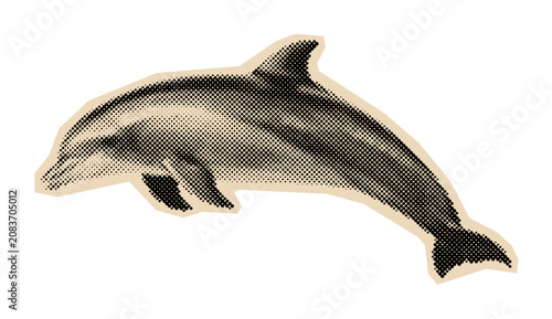 Bild auf Leinwand Bottlenose dolphin illustration of the aquatic mammal jumping, rendered in a cla