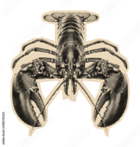 Fotografie Lobster illustration in a vintage halftone style, representing a classic seafood